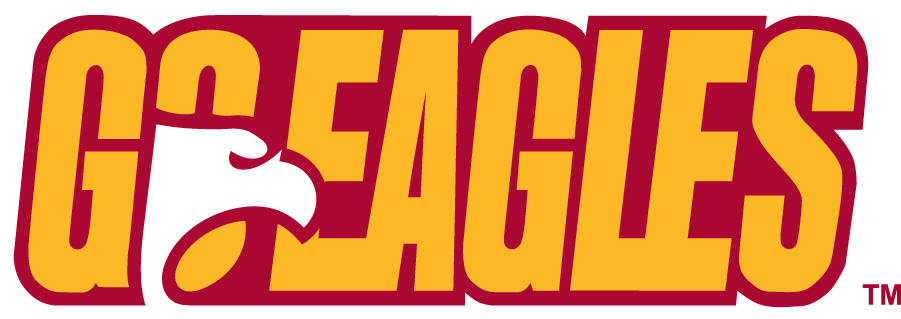 Winthrop Eagles 1995-2017 Alternate Logo iron on transfers for clothing